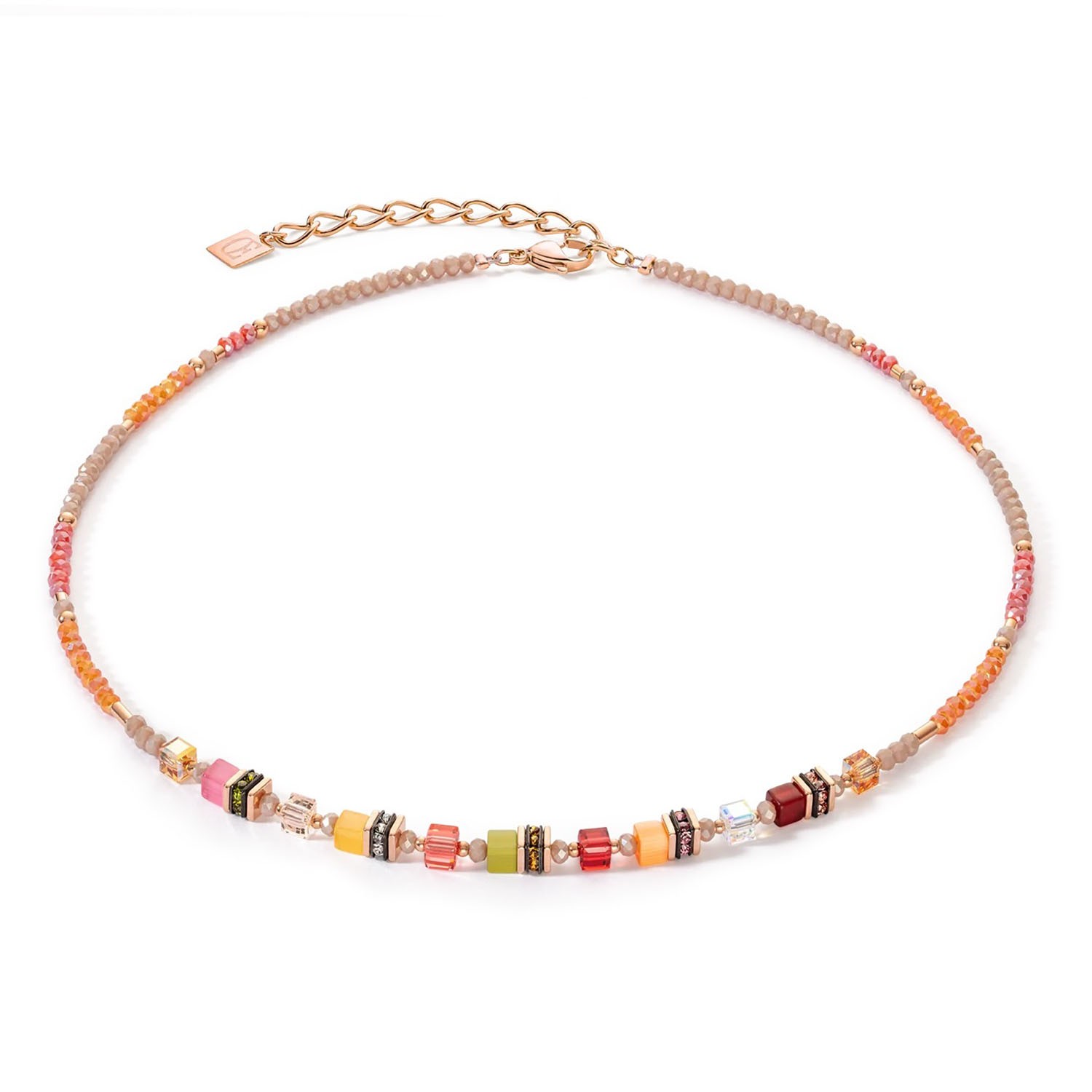 : Multicolor Indian Summer(Coeur de Lion, )