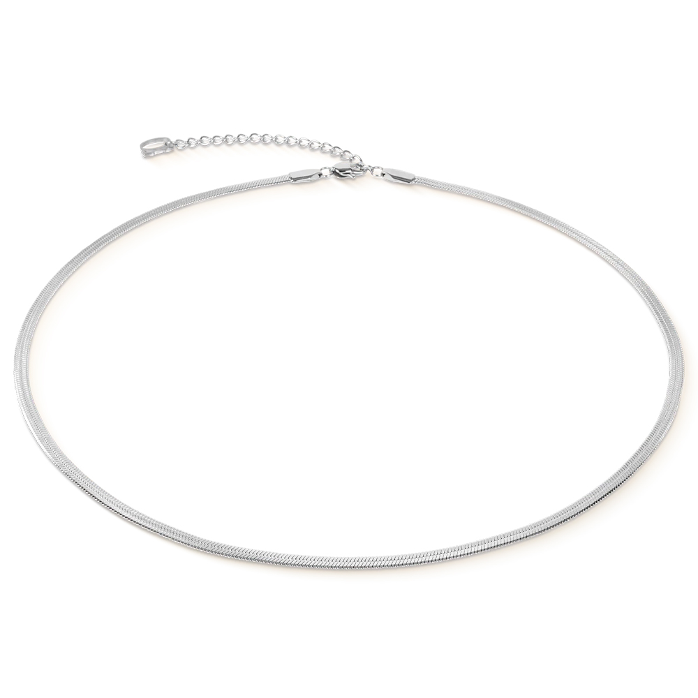 Coeur de Lion, ��������:����� Silver()