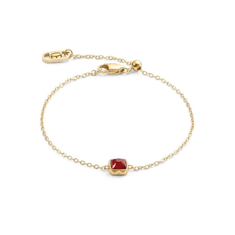 ��������:������� Red agate (January)(Coeur de Lion, ��������)