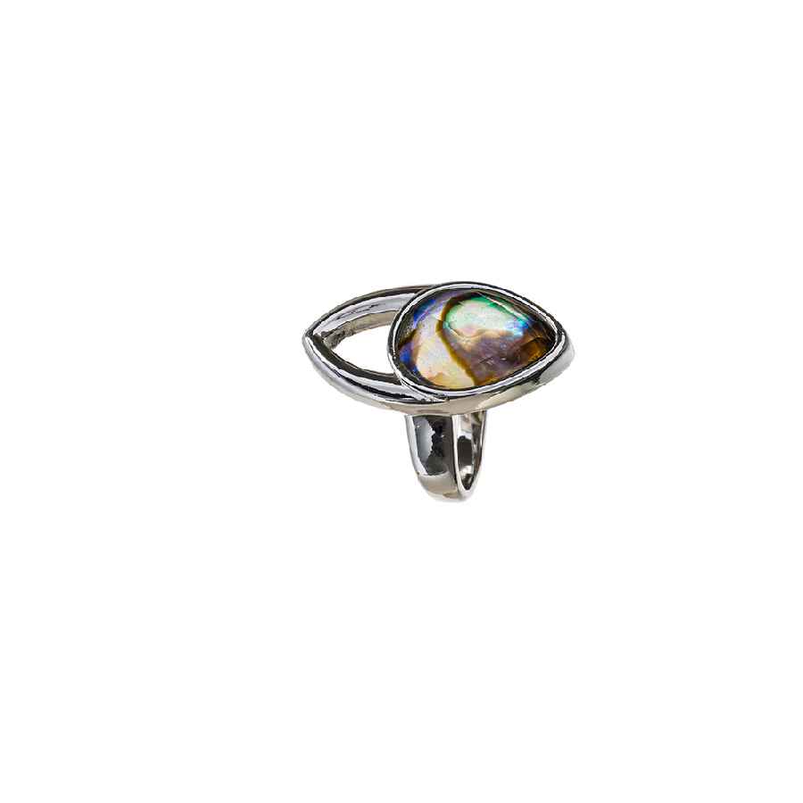  Abalone
