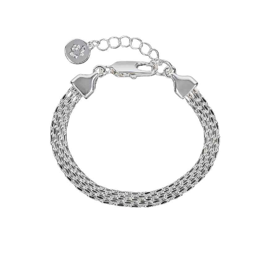  Chain arabiner