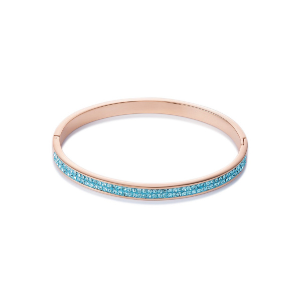 Coeur de Lion, ��������:������� Aqua 17 ��()