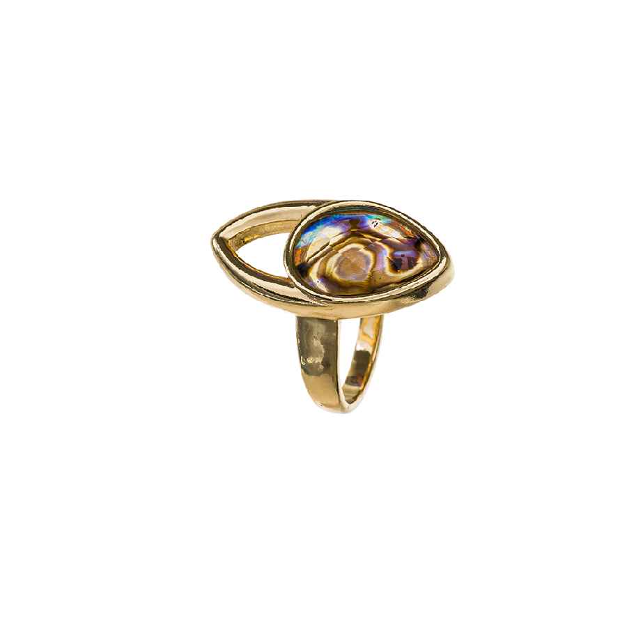  Abalone