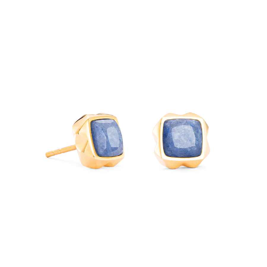  Blue-Gold