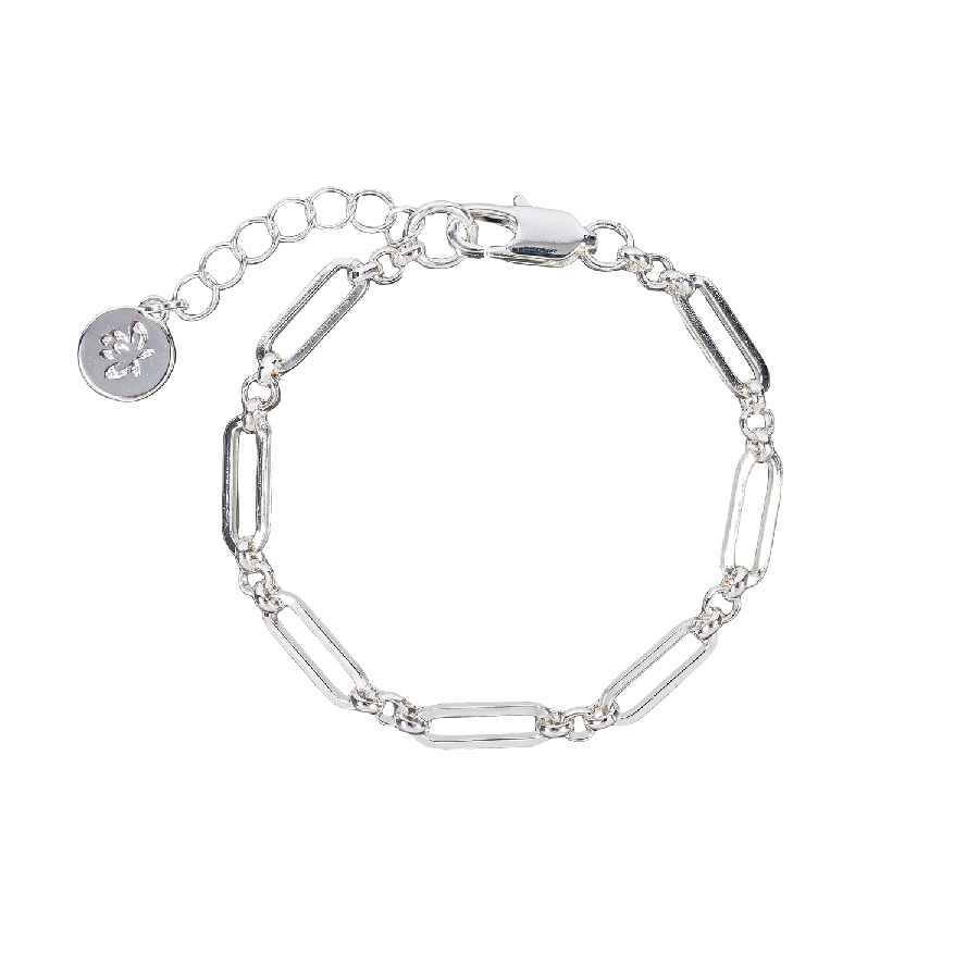  Chain arabiner