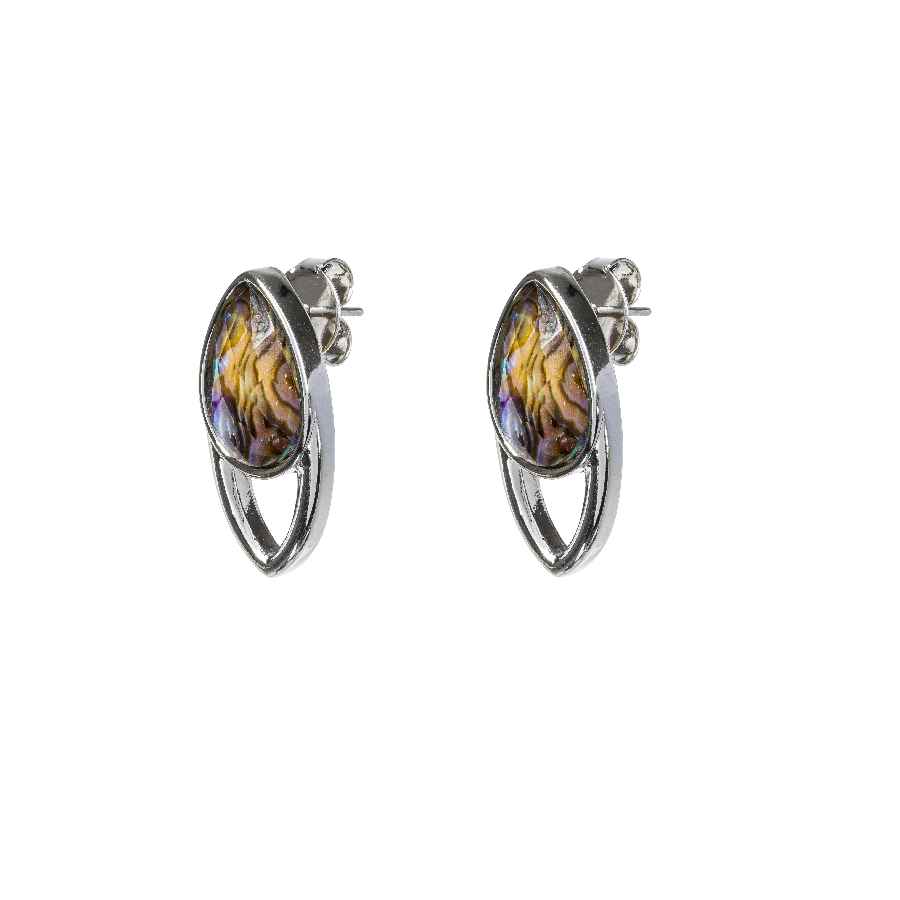  Abalone