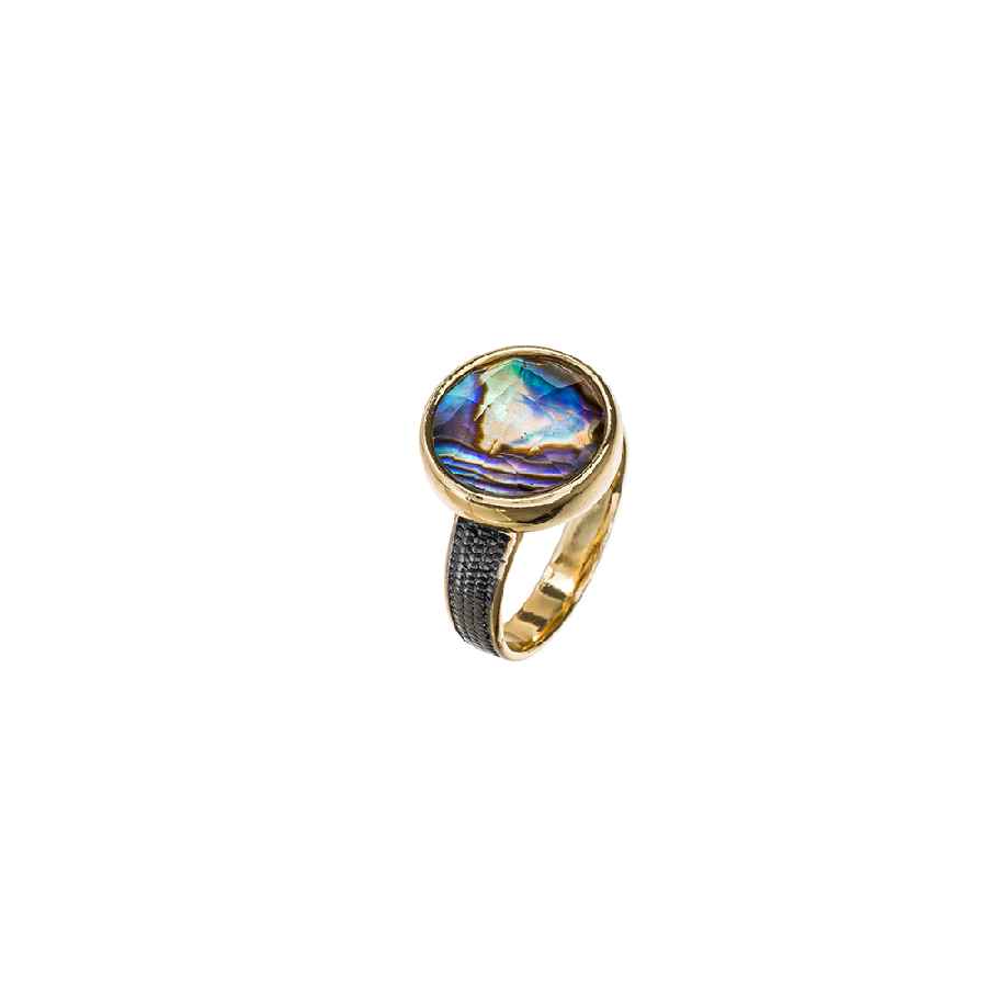  Abalone