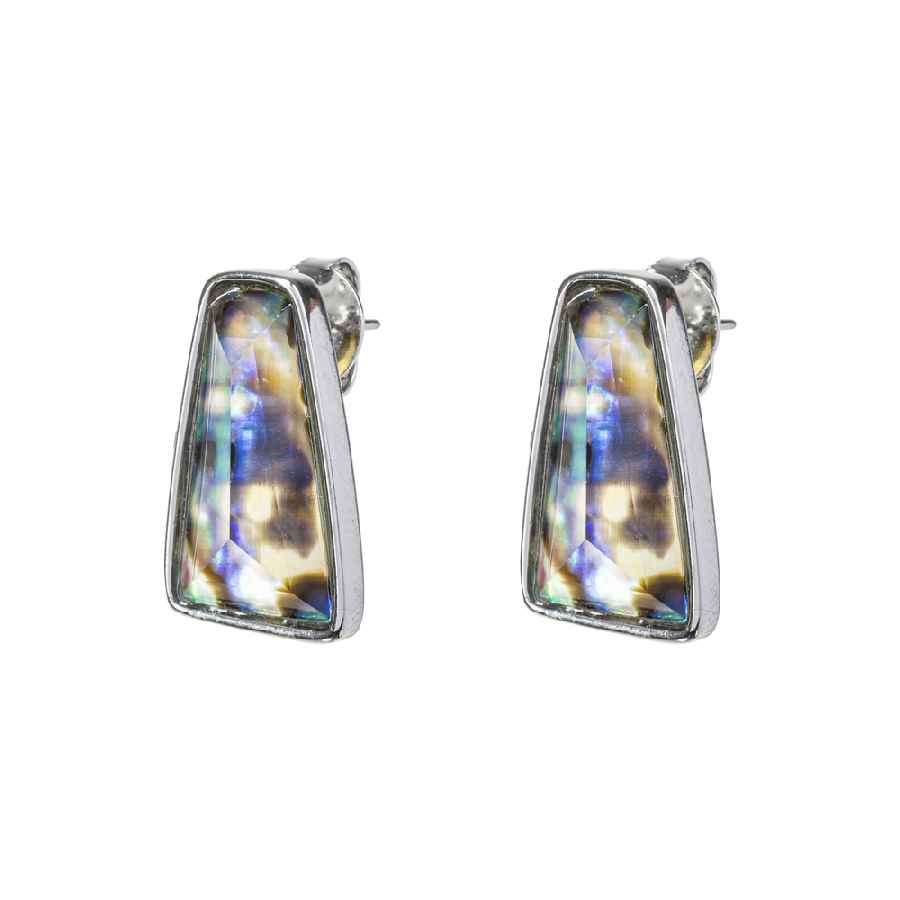  Abalone
