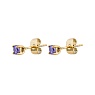 Пусеты VIOLET Арт.: AE03187-6 V/G
