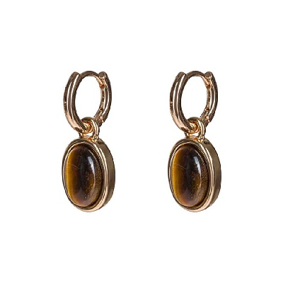 Серьги TIGER EYE LE1203 BR/G 