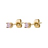 Пусеты LIGHT ROSE Арт.: AE03187-1 R/G