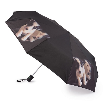 R346-3361 JackRussell (Джек Рассел) Зонт женский автомат Fulton R346-3361 JackRussell R346-3361 JackRussell (Джек Рассел) Зонт женский автомат Fulton R346-3361 JackRussell